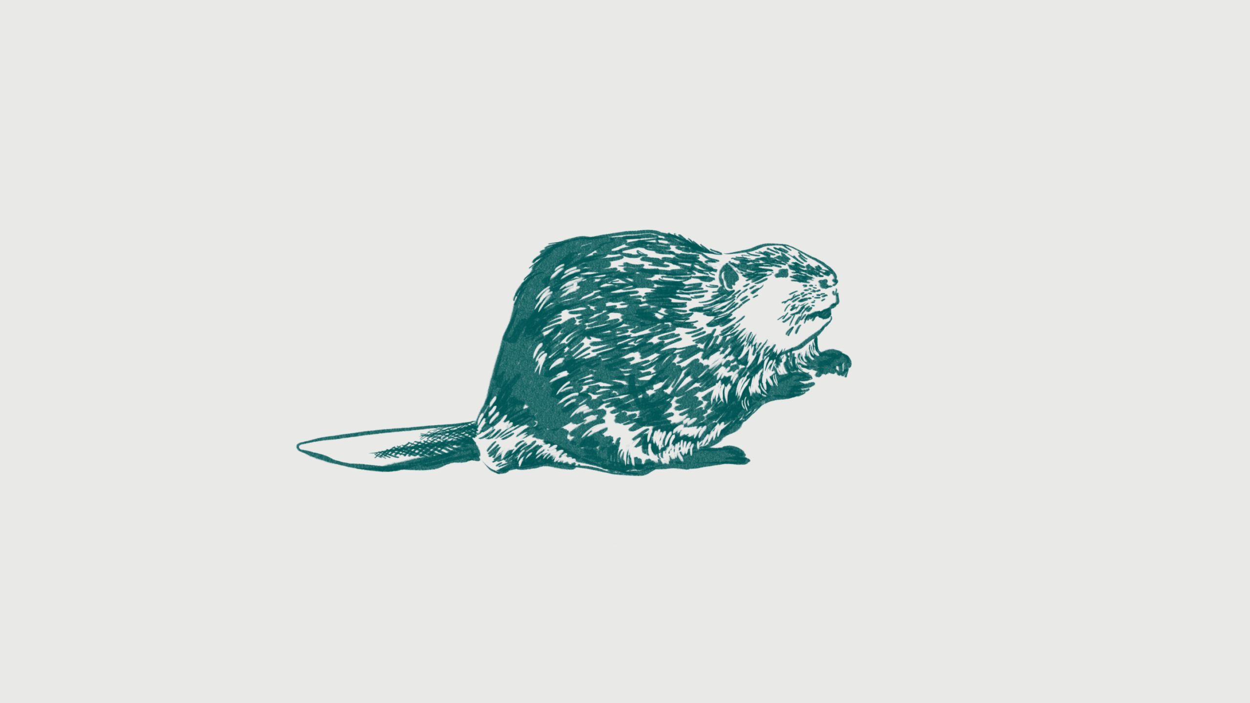 illu-slider_02